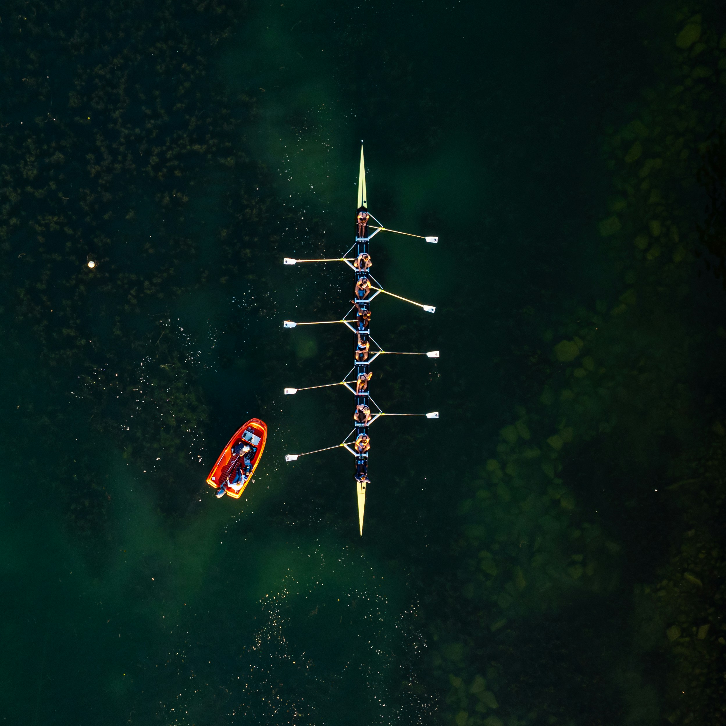 Rowing team representing partnership and coordination